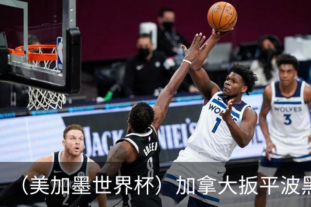 （美加墨世界杯）加拿大扳平波黑 获队史世界杯首分